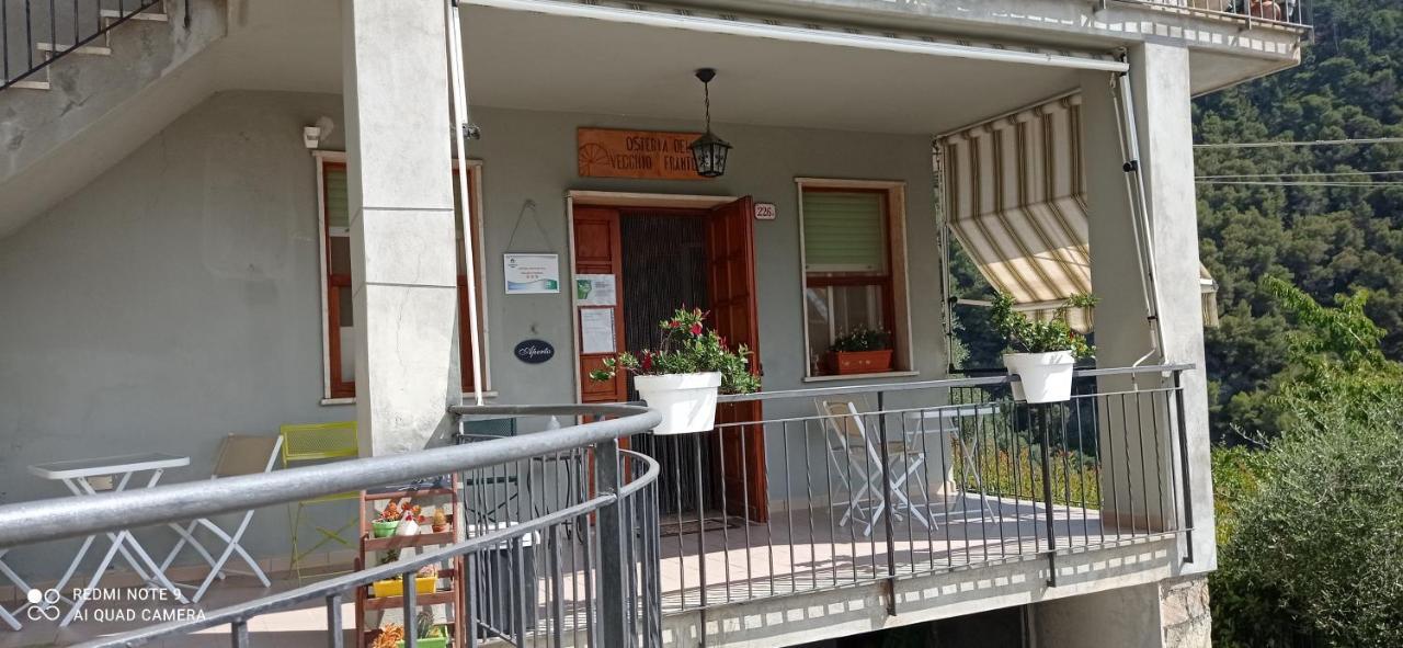 Agriturismo Vecchio Frantoio Villatella Εξωτερικό φωτογραφία