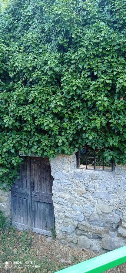 Agriturismo Vecchio Frantoio Villatella Εξωτερικό φωτογραφία