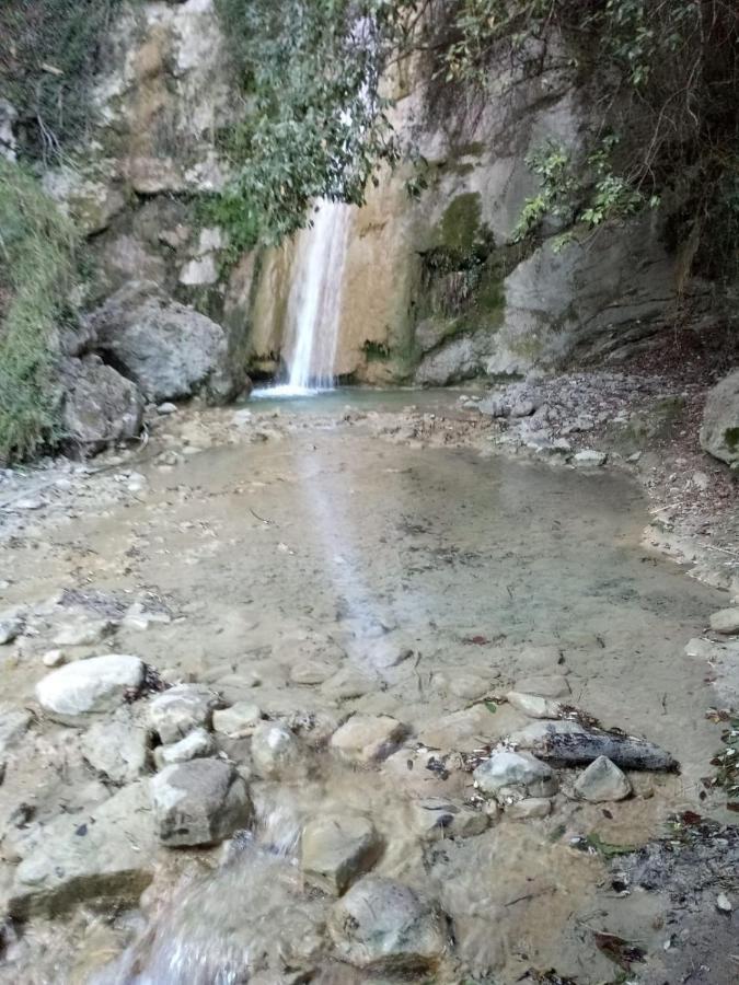 Agriturismo Vecchio Frantoio Villatella Εξωτερικό φωτογραφία