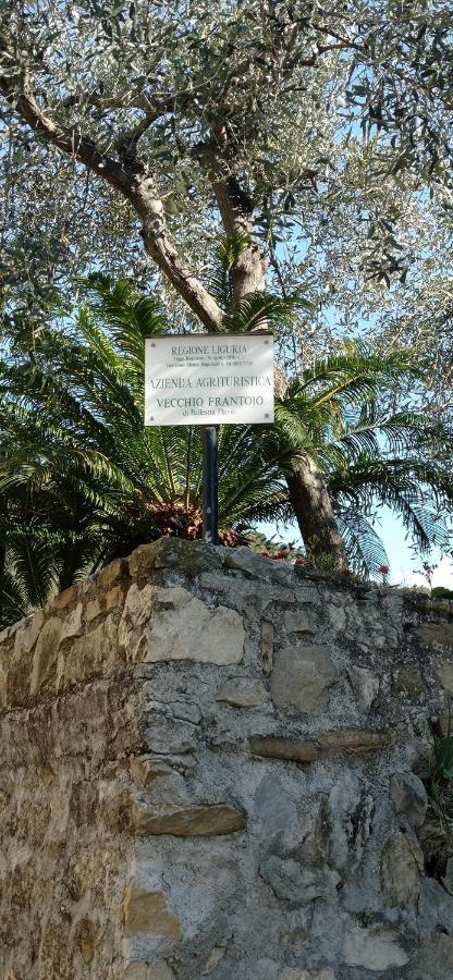 Agriturismo Vecchio Frantoio Villatella Εξωτερικό φωτογραφία