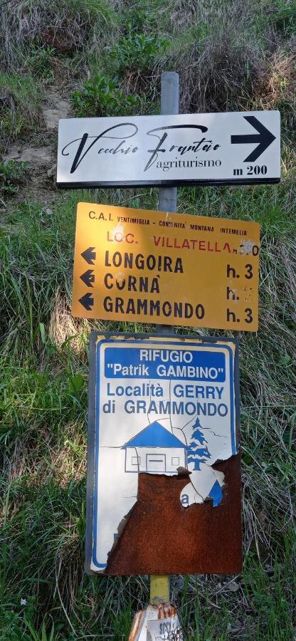 Agriturismo Vecchio Frantoio Villatella Εξωτερικό φωτογραφία