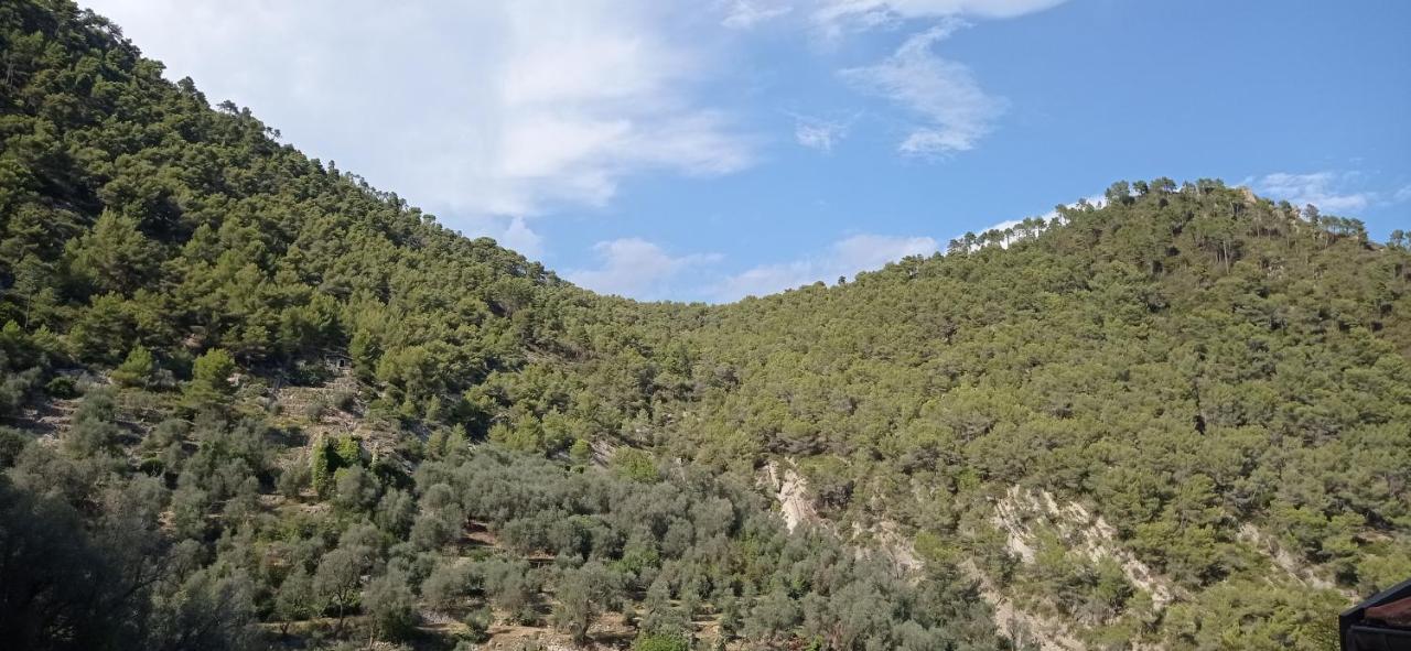 Agriturismo Vecchio Frantoio Villatella Εξωτερικό φωτογραφία