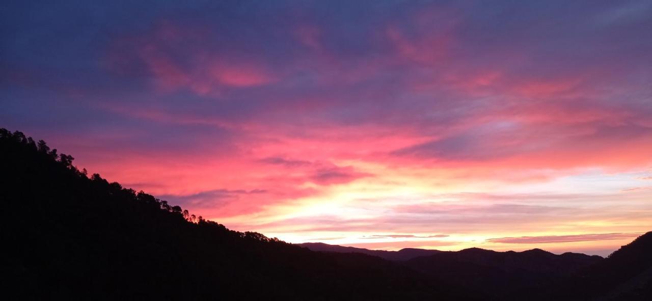 Agriturismo Vecchio Frantoio Villatella Εξωτερικό φωτογραφία